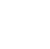 K&T Motor LLC, Santa Ana, CA